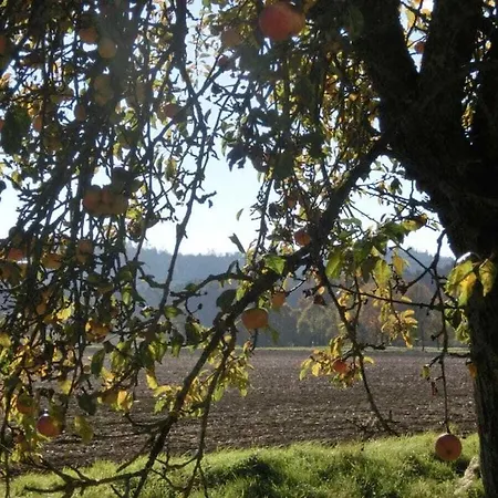 Nyaraló Castle 
